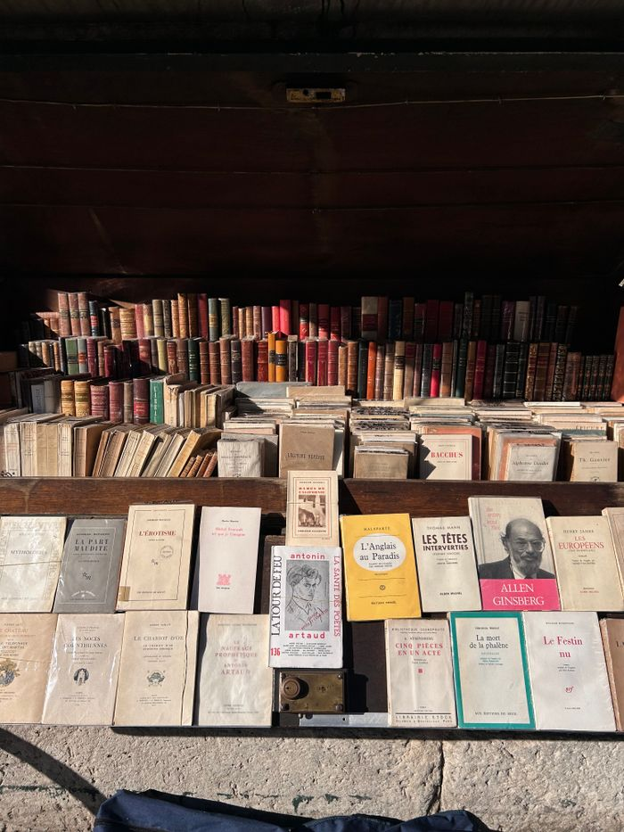 Explore a collection of vintage books displayed in a kiosk along the Seine River, Paris.